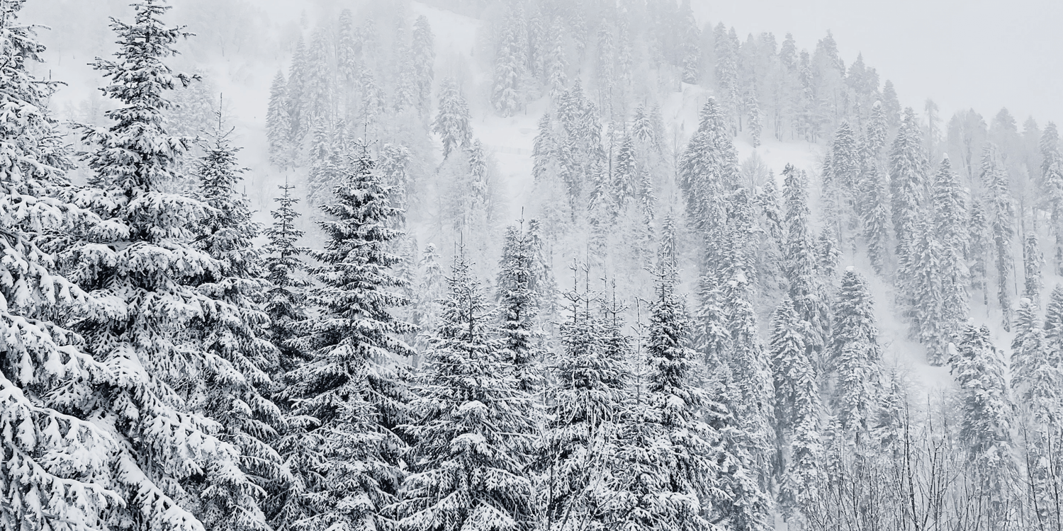 Heatewave_Thermal_Underwear_Forest_Winter_Landscape_Banner.png