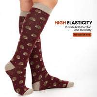 4 Pack Women’s Wellington Autumn Socks Long Welly Socks Outdoor Warm Durable & Soft Fit UK Size 4‑8 by Sock Stack AUTUMN Socks