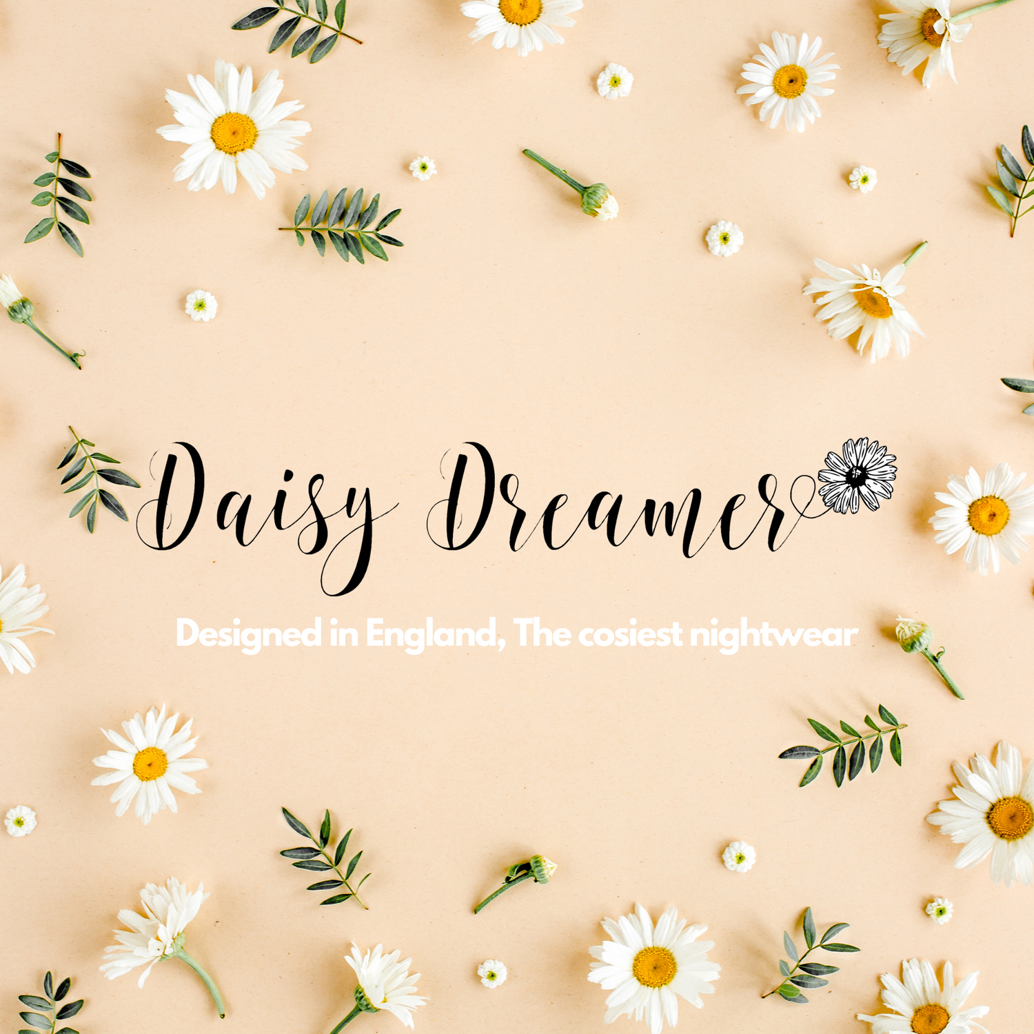 Daisy_Dreamer_Brand_Page_Banner