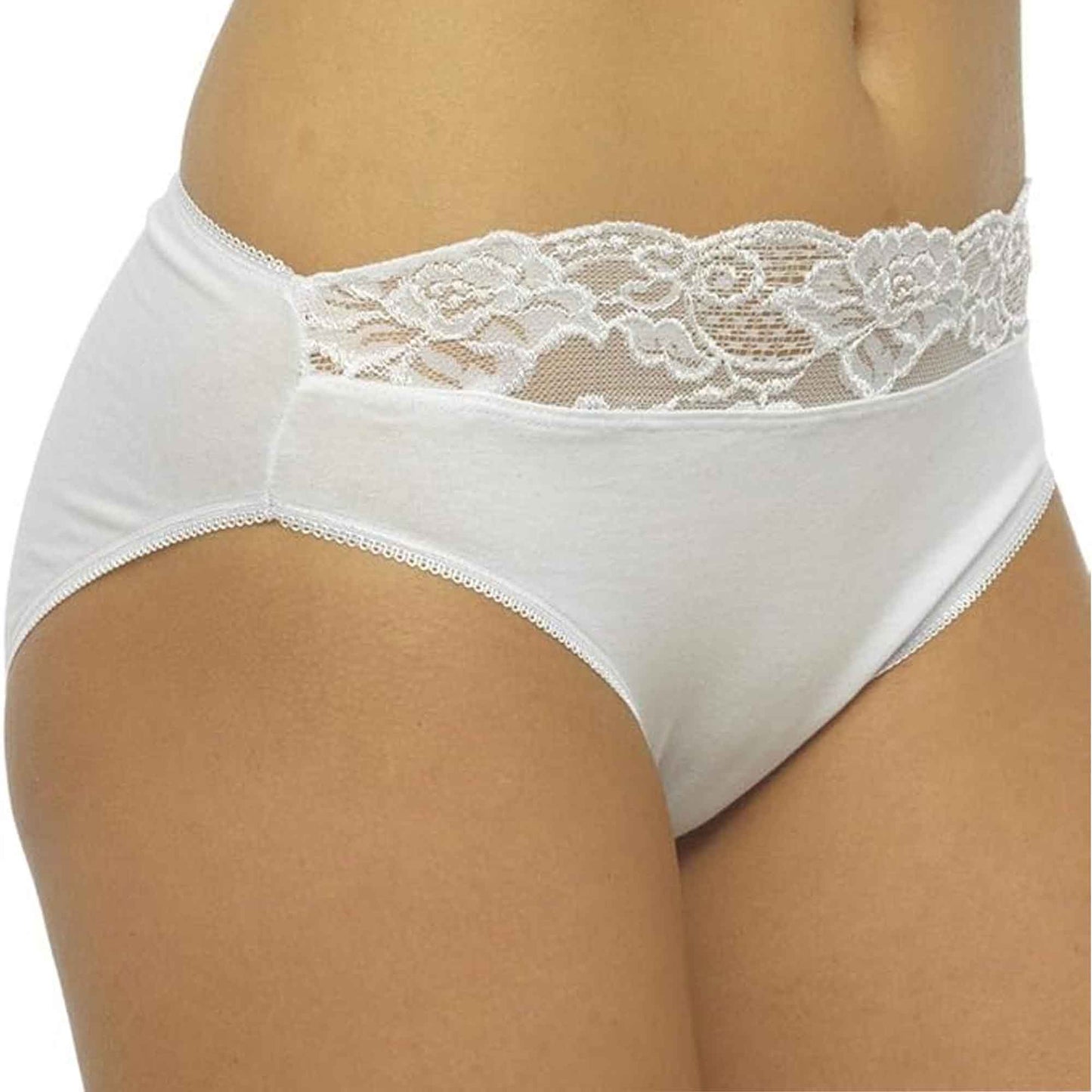 Pack of 10 Cotton Rich Lace Brief Knickers for Women Comfortable Stretch Waistband Assorted Colours Breathable Underwear UK Sizes 10-20 by Daisy Dreamer Underwear