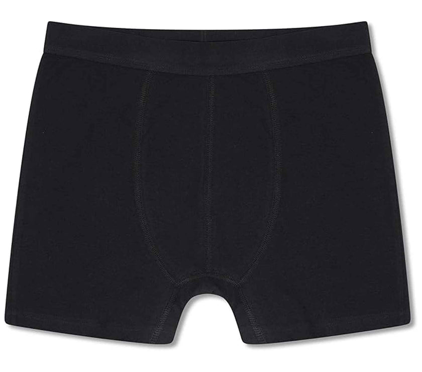 Sock Stack Pack Of 5 Boys Organic Cotton Stretch Boxer Trunks for Kids ...
