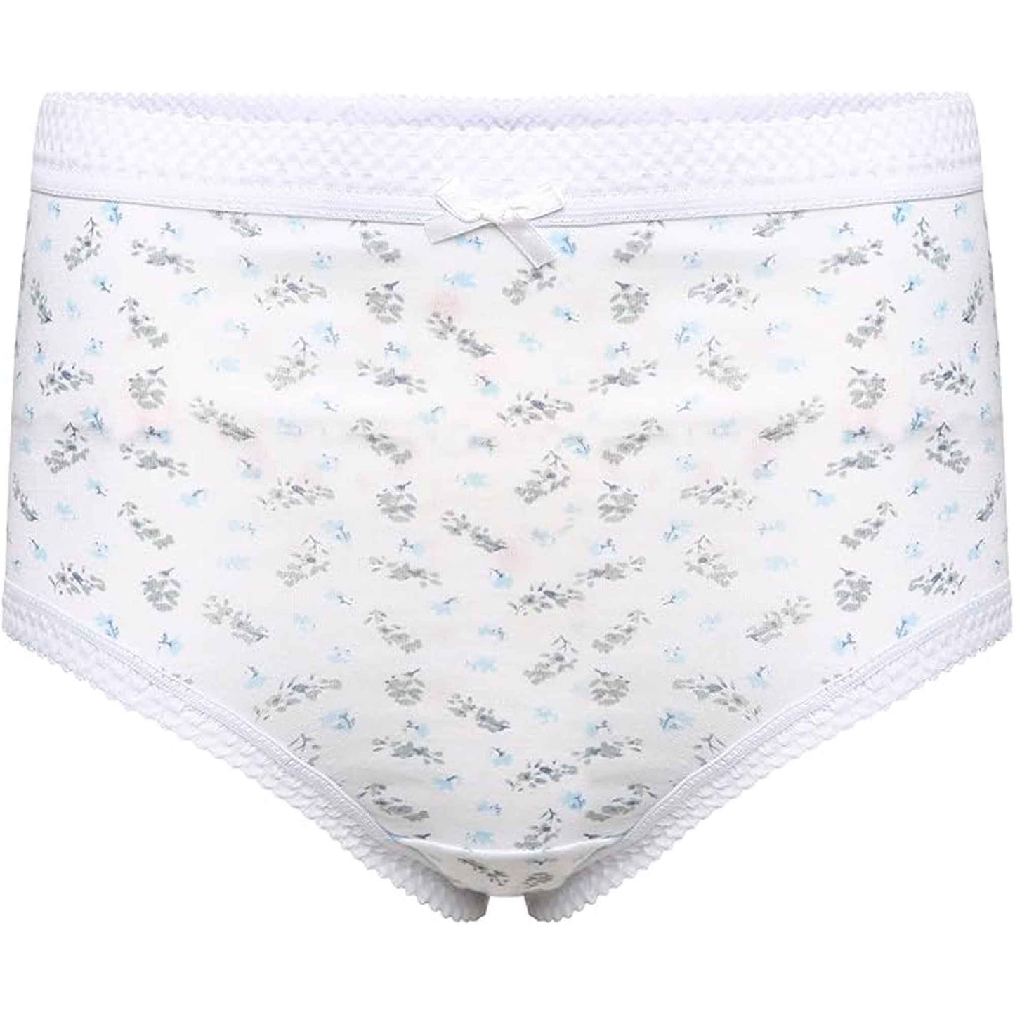 Pack of 6 Women's 100% Cotton Super Soft Maxi Briefs Full Coverage Breathable Everyday Underwear Assorted Colors Regular Plus Sizes by Sock Stack Underwear