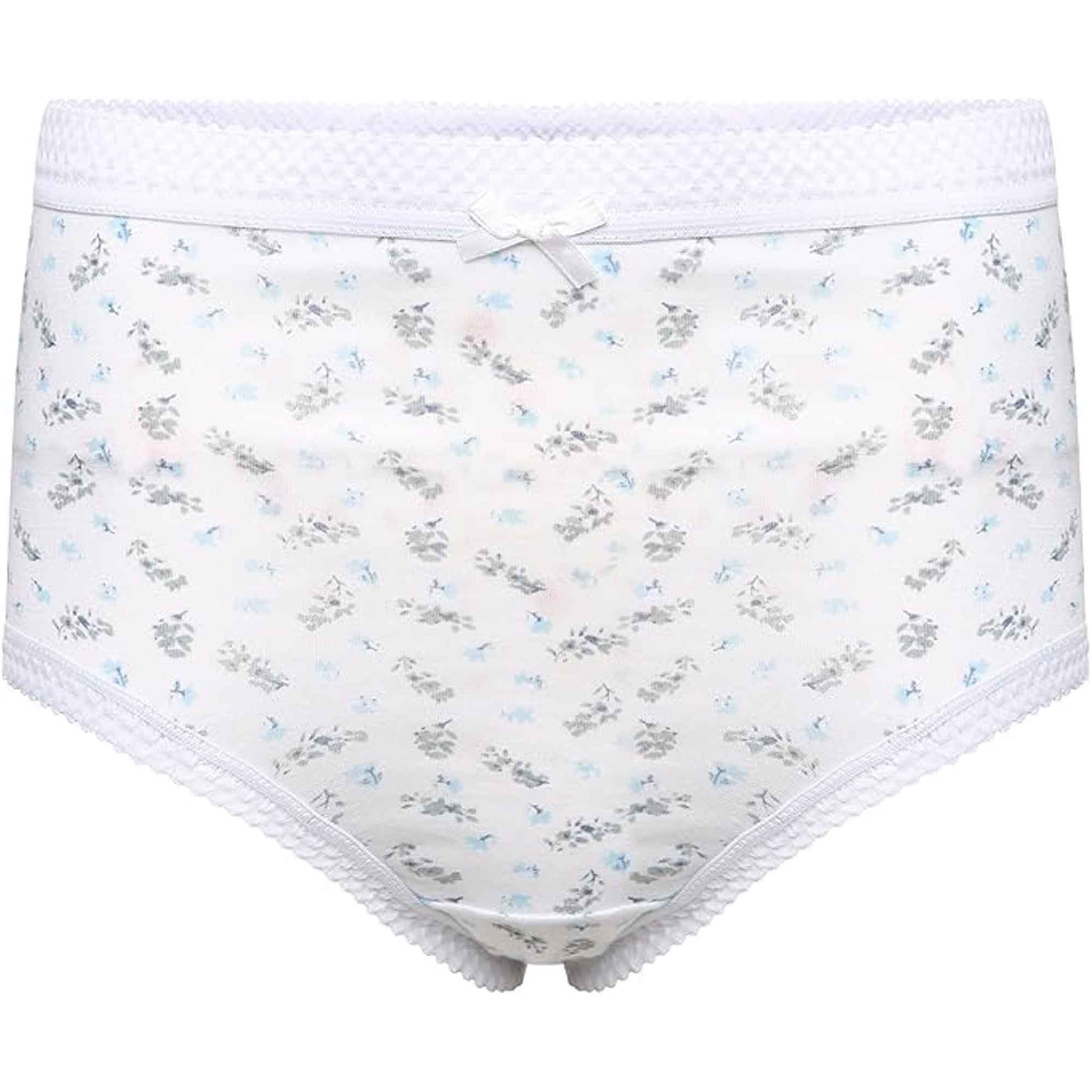 Pack of 6 Women's 100% Cotton Super Soft Maxi Briefs Full Coverage Breathable Everyday Underwear Assorted Colors Regular Plus Sizes by Sock Stack Underwear